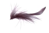 fluffy-feather